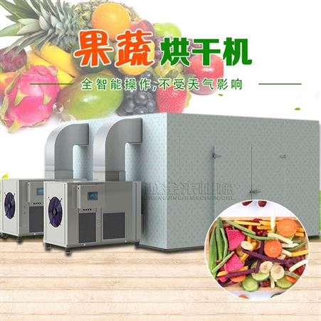果蔬烘干设备 水果片热风循环烘干箱 诚金来机械