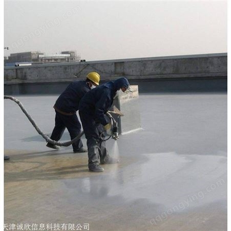 河东屋顶防水工程 墙面防水 技术*