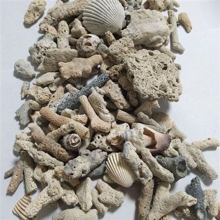 水族滤料珊瑚砂 菲律宾砂 调节水质珊瑚石 珊瑚骨 圣邦