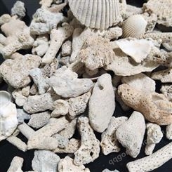 水族滤料珊瑚砂 菲律宾砂 调节水质珊瑚石 珊瑚骨 圣邦