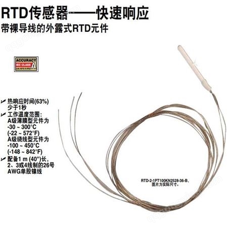 RTD-2-F3105-36-G热电阻传感器 Omega/欧米茄