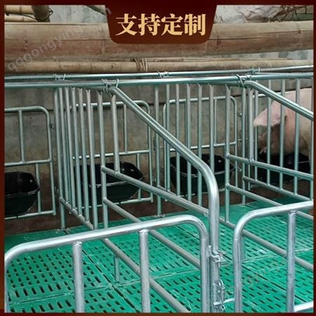 猪用定位栏 热镀锌大架定位栏 带板定位栏 出厂价