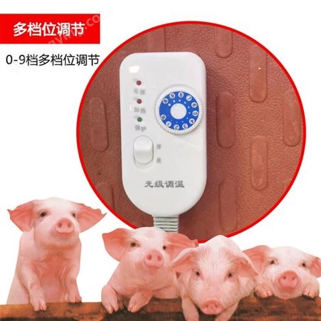 猪舍电热板 碳纤维电地暖 千惠猪用畜牧电加热线