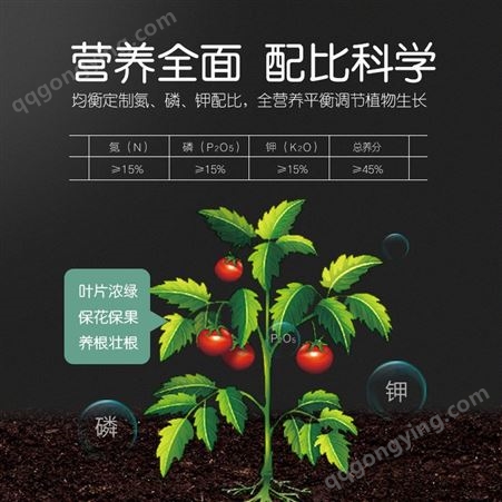 广西 史丹利园艺肥菜园子草莓专用型复合肥 草莓专用复合肥料 大量批发