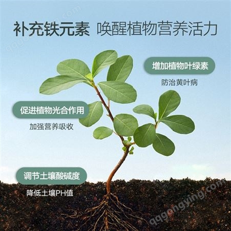 广肥农资南宁仓库长期供应批发史丹利植物营养粉园艺铁肥