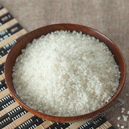 碎米米面淀粉