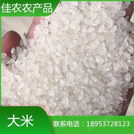 山东大米 鱼台大米 优质圆粒大米生产批发厂家