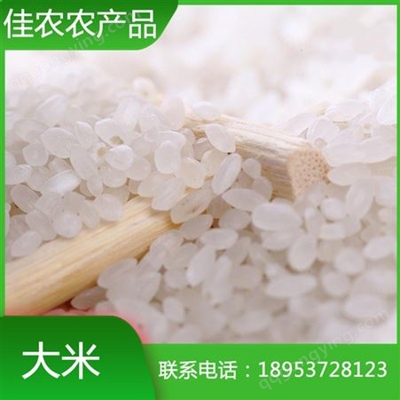山东大米 鱼台大米 优质圆粒大米生产批发厂家