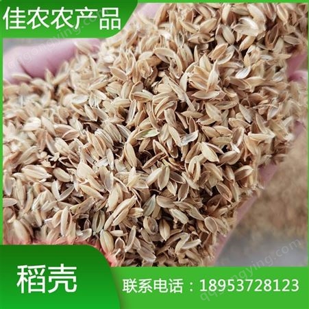 养殖场垫料用稻壳 新鲜优质袋装稻壳 天然植物材料 酿酒用稻壳