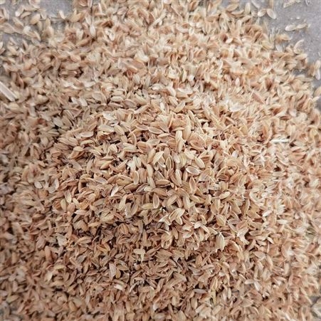 现货批发 新鲜干净散装稻壳 除尘压缩稻壳  量大优惠