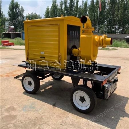 扬程15米污水泵电机自吸式水泵移动式柴油抽水泵
