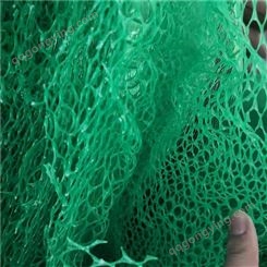 广西 护坡植被网 三维植被网 黑色绿色 都可定制 源头工厂 规格齐全