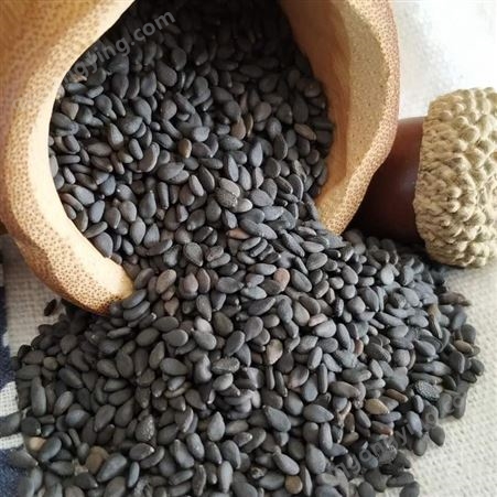 厂家批发国产优质熟黑芝麻五谷原料 低温烘焙磨粉原料 熟黑芝麻