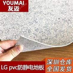 江苏lg芯宝地板代理 苏州pvc地板 塑胶地板革施工安装