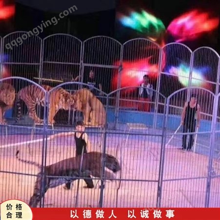 景区动物表演 大型动物表演 马戏团动物表演 出售厂家