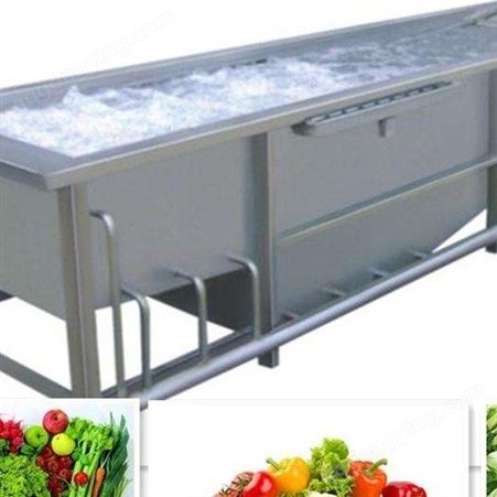 3000蔬菜清洗机 气泡清洗机 泰威机械