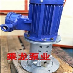 YCB圆弧磁力泵 不锈钢圆弧齿轮泵 立式磁力泵