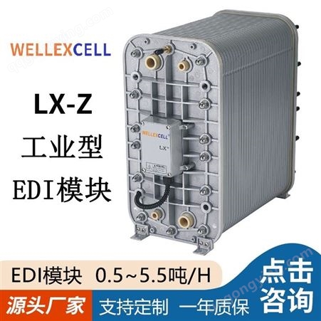 美国WELLEXCELL唯赛乐 高纯水系统EDI模块LXM04Z IONPURE西门子EDI模块