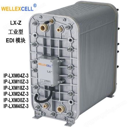 美国WELLEXCELL唯赛乐 高纯水系统EDI模块LXM04Z IONPURE西门子EDI模块