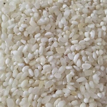 批量供应 大小碎米 大中小混碎米 饲料添加