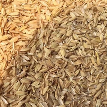 规格齐全种植稻壳 牧场养殖稻壳 玩具填充