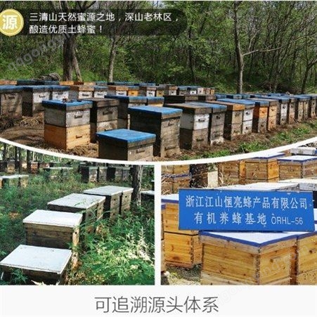 出口蜂产品土蜂蜜市场价格 真蜂蜜的价格 250g 500g 一斤 散装蜂蜜 桶装蜂蜜 袋装蜂蜜贴牌