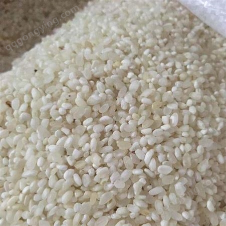 聊城市 抛光干净碎米 袋装食品专用碎米 批量供应