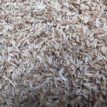 鱼台富讯 养殖垫料稻壳 散装袋装稻壳 大棚种植改善土壤