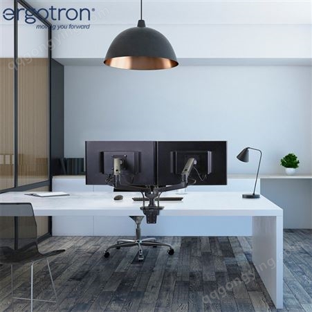 爱格升（ERGOTRON）45-245-224 LX双配置并列型支臂 电脑显示器显示屏支架双屏 显示器支架臂 双屏支架 黑