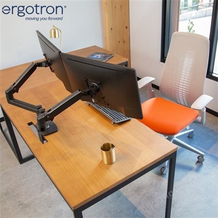 爱格升（ERGOTRON）45-245-224 LX双配置并列型支臂 电脑显示器显示屏支架双屏 显示器支架臂 双屏支架 黑