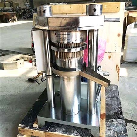 香油机 液压立式铬钢材质压油机 全自动芝麻榨油机