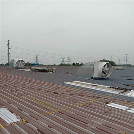 厂房通风设备-玻璃钢负压风机-屋顶负压风机-镀锌板负压风机生产商