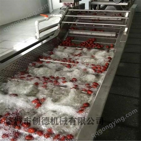 创德定制清洗设备生产厂家 水果蔬菜清洗机直销