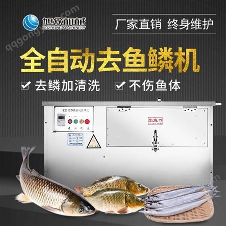 旭众大型全自动刮鱼鳞机商用电动去鱼鳞机器设备
