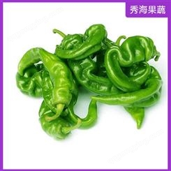螺丝椒 果型顺直 特色蔬菜种子出售 品种好 皱皮椒