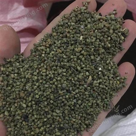 多花木兰种子价格 产地批发 边坡绿化种子