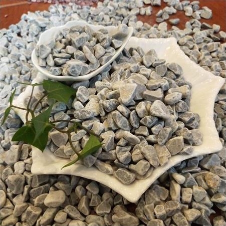 雪健鱼缸园林造景水磨石子 地坪用 洗米石 水洗石子 水磨石