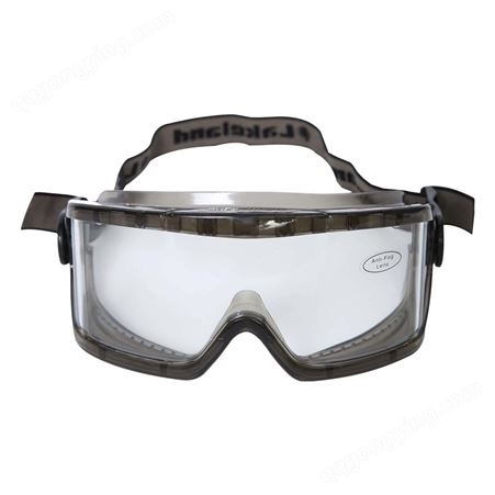 雷克兰G1580防护眼镜防尘雾防冲击防液体喷溅眼罩