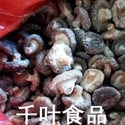  速冻香菇粒 千叶冷冻香菇粒