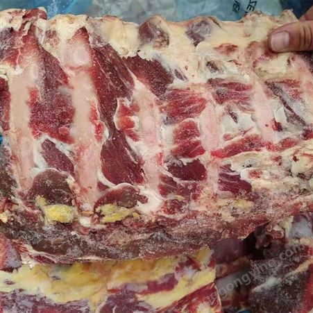 牛脊骨 带肉牛脊 冷冻商用煲汤用 火锅食材 新鲜屠宰