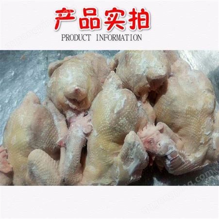 冷冻整鸡产品种鸡白条_有路食品_山东冻品生产厂家供应