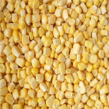 玉米粒大量批发厂家速冻玉米粒生产批发