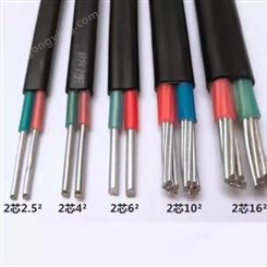  弘泰线缆一枝秀 刚老化电缆铝芯电缆双护套电缆BLVVB2*4.0