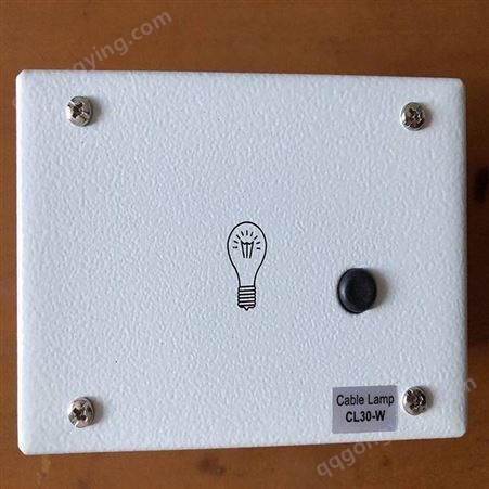 ABB电缆室照明灯CL30-W仪表室面板灯CL20-W