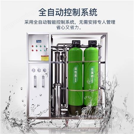 工业去离子水设备 离子交换混床反渗透纯净水处理设备