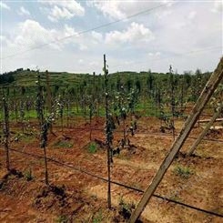 智慧农业水肥一体化灌溉系统智能灌溉滴灌喷灌物联网云平台控制