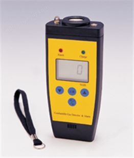 BXC-04硫化氢检测仪