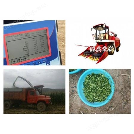豫东农牧玉米秸秆青储机械-玉米秸秆青储收获机-青海省-青储收割机价格