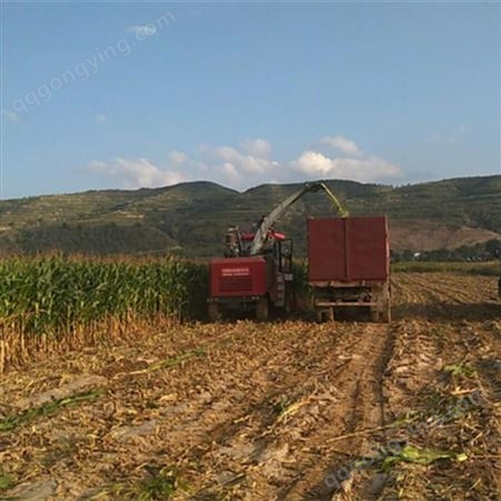 青储玉米收割机-玉米大型青储收割机-内蒙古自治区-玉米青储机械