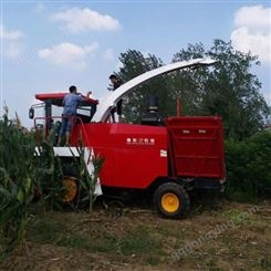 豫东农牧玉米秸秆青储机械-双圆盘式青储收割机-新疆-玉米秸秆青储机生产厂家